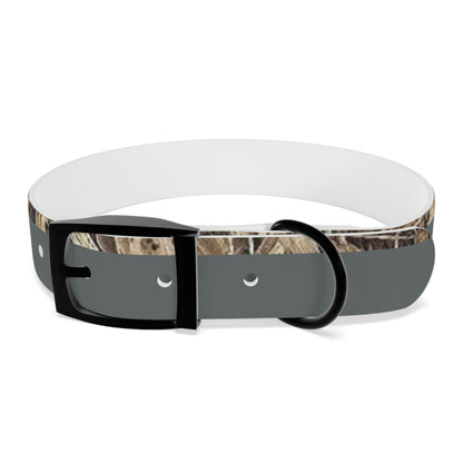 Waterproof Dog Collar