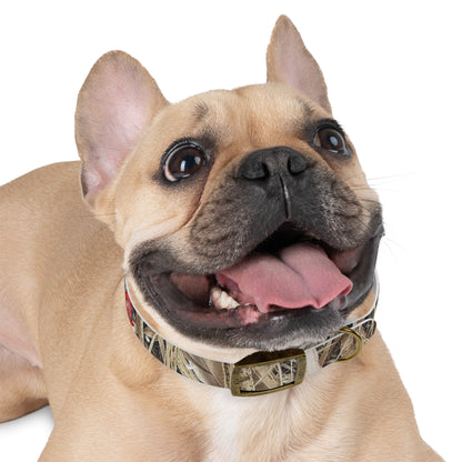 Waterproof Dog Collar