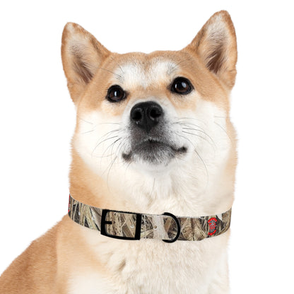Waterproof Dog Collar