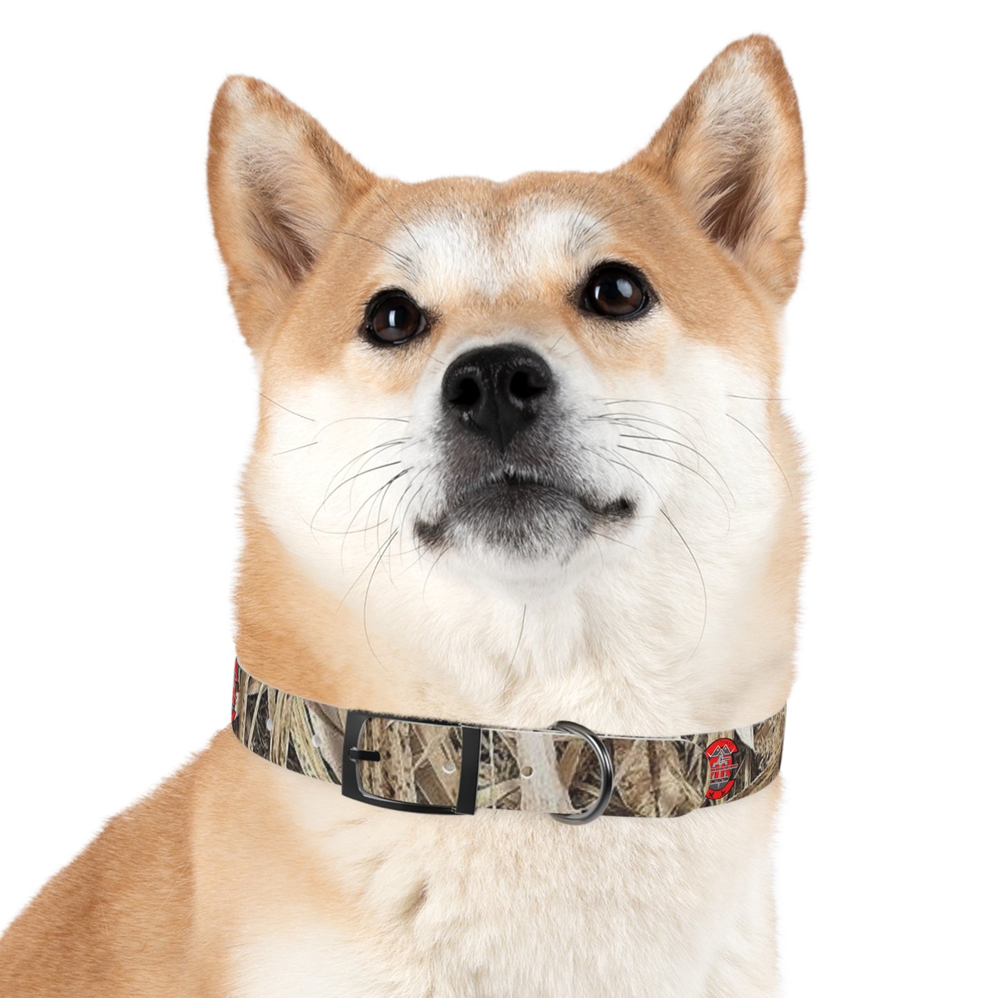 Waterproof Dog Collar
