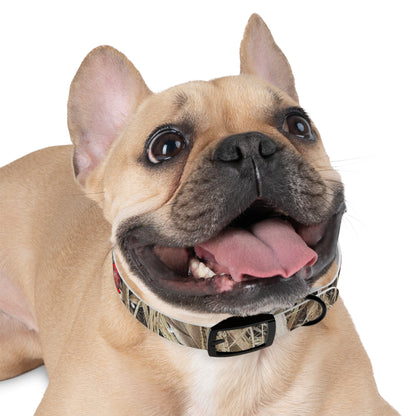 Waterproof Dog Collar