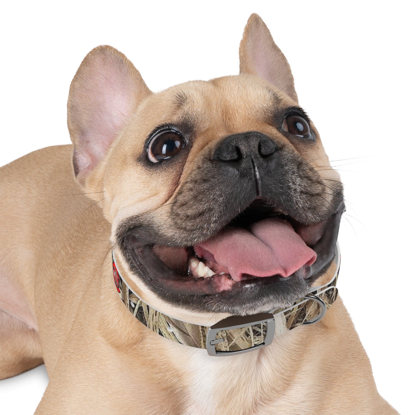 Waterproof Dog Collar