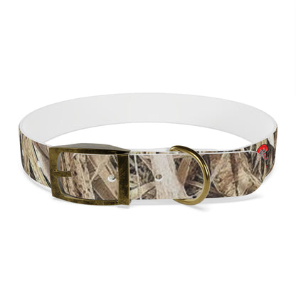 Waterproof Dog Collar