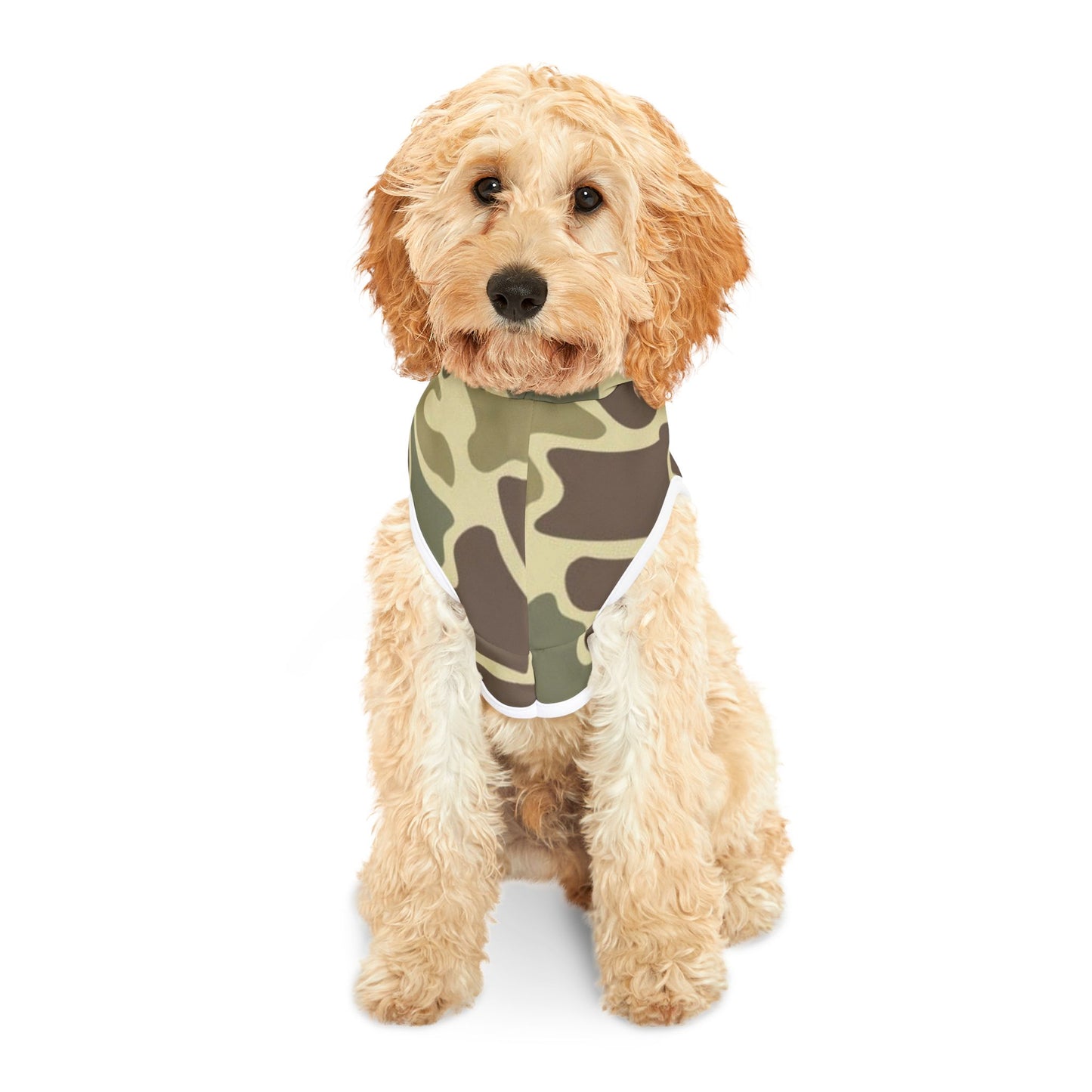 Dog Hoodie